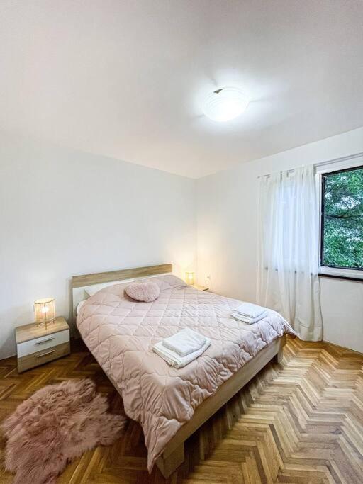 Apartman Dorja Fazana Exterior photo